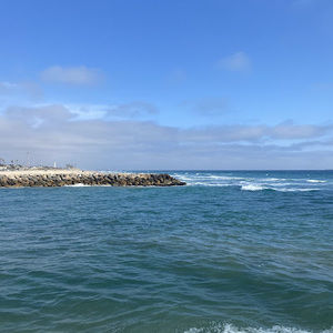 Meet your Posher, Malia